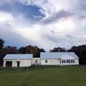 Protecting Your ICF Walls From Termite Damage
