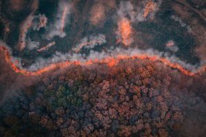 How ICF Meets Climate Change in the Moment: Convergence of Resilience and Net Zero